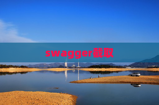 swagger截取